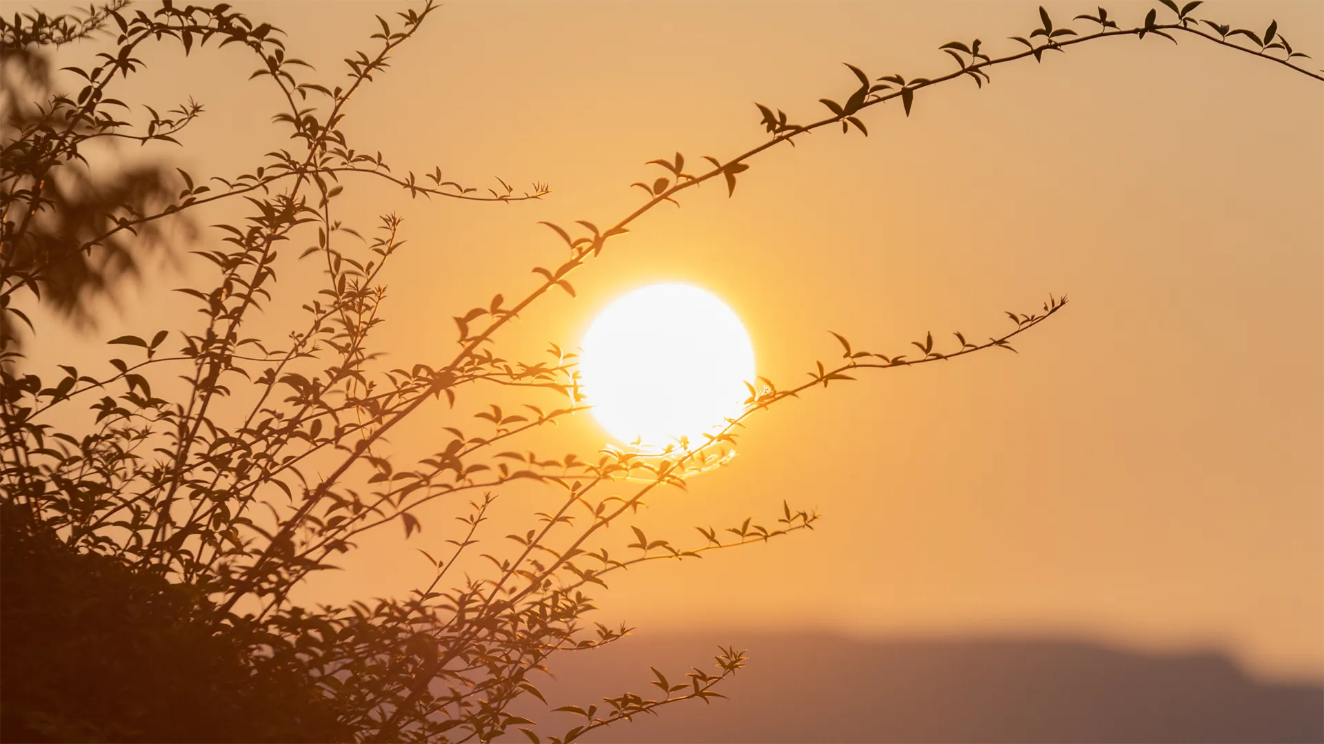 michael crawford funeral obituaries