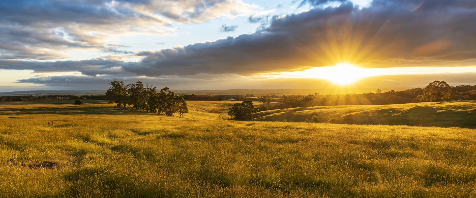 Cremation and Funeral Services - Michael Crawford Funerals